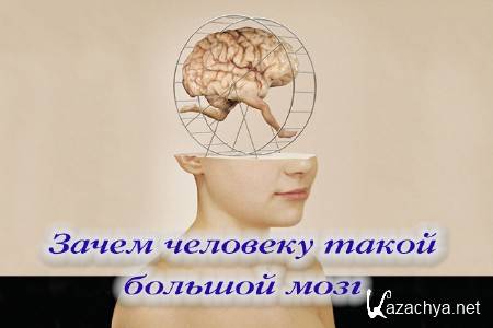 ����� �������� ����� ������� ���� (2014) 