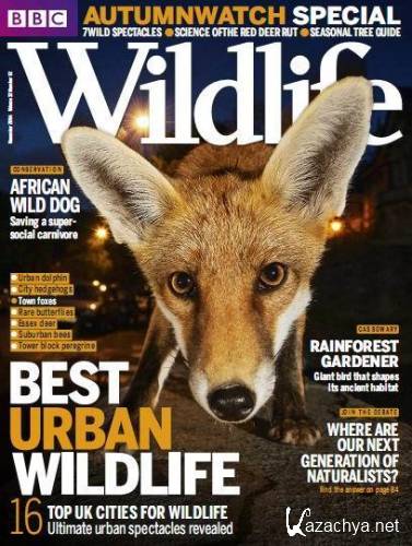 BBC Wildlife Magazine November (2014)