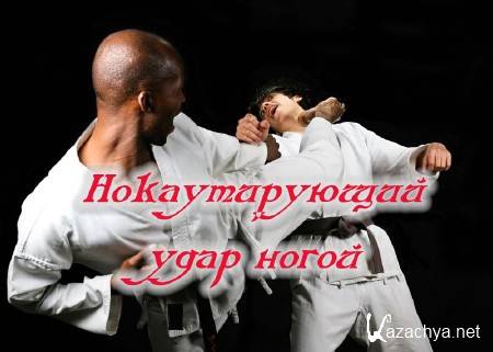 ������������� ���� ����� (2014)