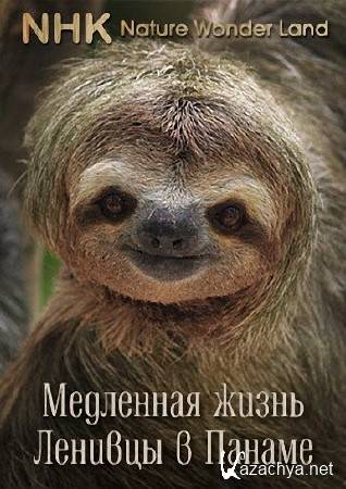  .    / Slow Lofe. Sloths: Panama (2012) HDTVRip