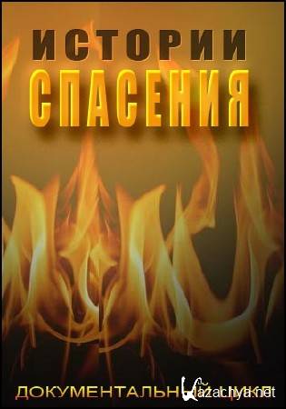 ������� ��������. ������������ ���� (06.11.2014) SATRip