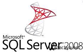      Microsoft SQL Server 2008 R2/2005