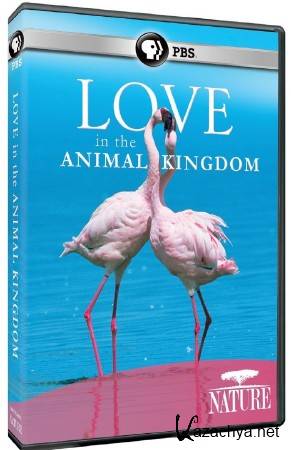 BBC. .     / BBC. Love in the Animal Kingdom (2013) SATRip