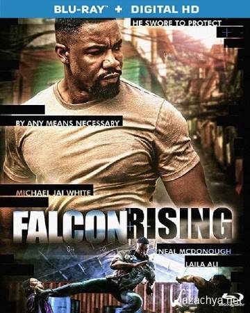   / Falcon Rising (2014) HDRip