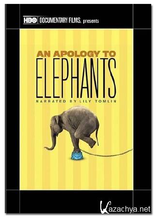    / An Apology to Elephants (2013) HDTV 1080p
