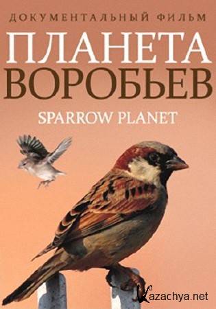   / Sparrow Planet (2013) HDTVRip (720p)