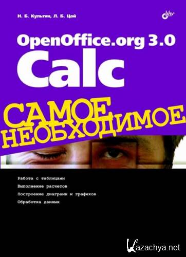 OpenOffice.org 3.0 Calc.  