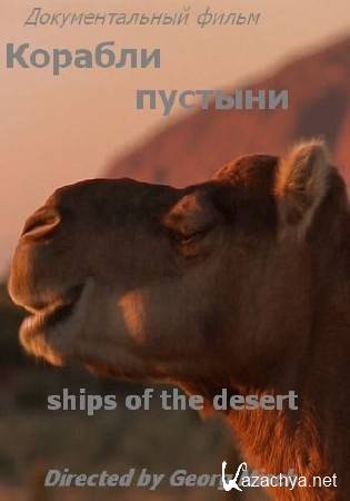   / Ships of the desert (2012) HDTVRip 720p