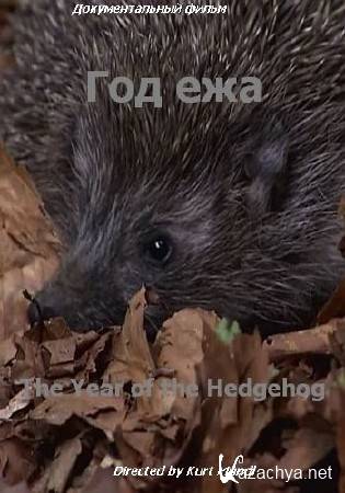   / The Year of the Hedgehog (2009) HDTVRip 720p