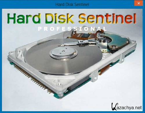 Hard Disk Sentinel Pro 4.50.9 + Portable -  HDD