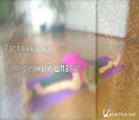 �������� �� ���������� ������ (2014)