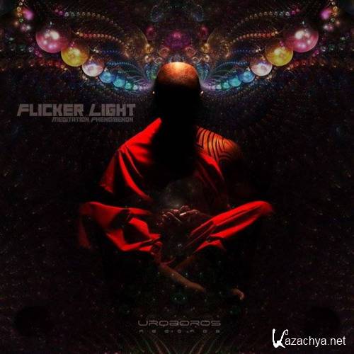 Flicker Light - Meditation Phenomenon (2014)