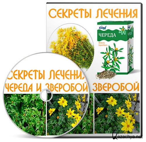 Секреты лечения Череда и Зверобой (2014) Секреты лечения Череда и Зверобой (2014)