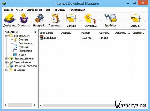 Internet Download Manager 6.24 Final -  