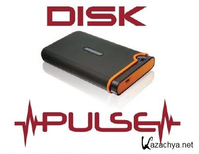 Disk Pulse 6.9.28 Portable