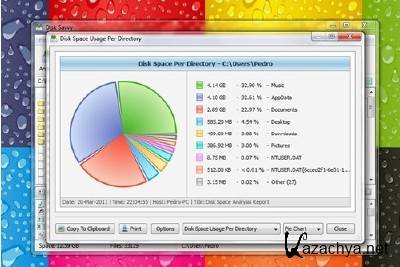Disk Savvy 6.9.24 Portable