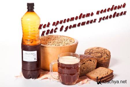 ��� ����������� �������� ���� � �������� �������� (2014)