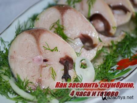  ��� �������� ��������, 4 ���� � ������ (2014)