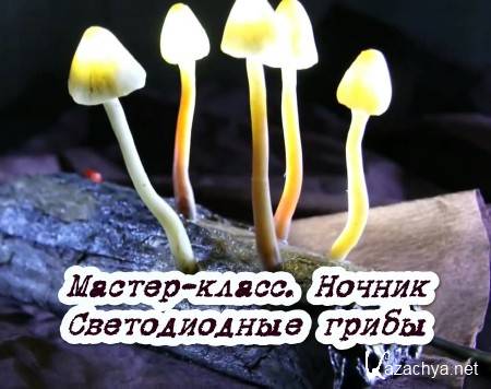 ������-�����. ������ ������������ ����� (2014)