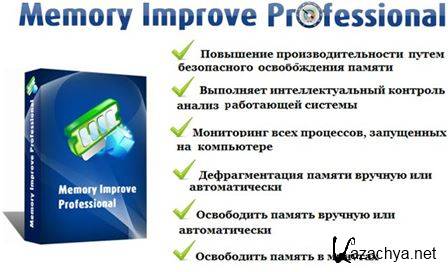 emory Improve Professional 5.2.2.535 (2014) PC