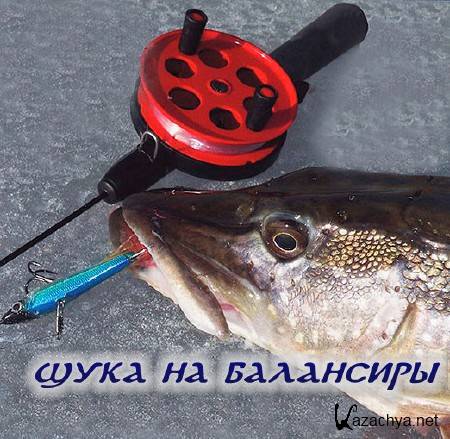   Aikoland.    (2014) WEBRip