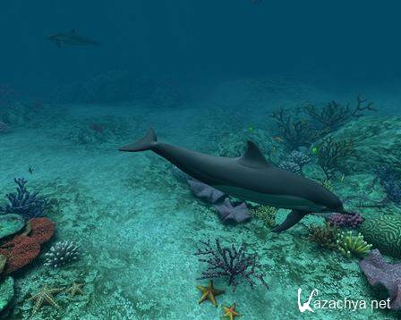 Dolphins 3D Screensaver and Animated Wallpaper 1.0 Build 3 (Rus) PC