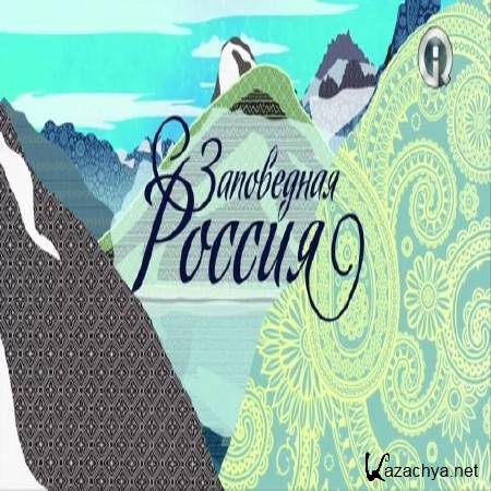  .   (2013) HDTV 1080i