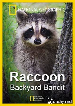    /  Raccoon. Backyard Bandit (2014) HDTVRip (720p)