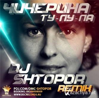  - -- (DJ Shtopor Remix) (2015)