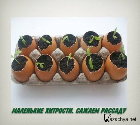 ��������� ��������. ������ ������� (2015)