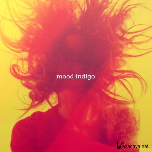 Novel - Mood Indigo (2015)