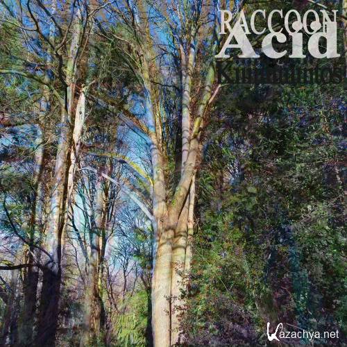 Raccoon Acid - Kiitos (2015)