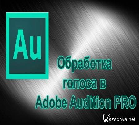    Adobe Audition PRO   (2015)