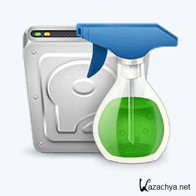 Wise Disk Cleaner 8.42.596 Final (2015) PC | + Portable