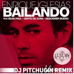 Enrique Iglesias Ft. Sean Paul - Bailando (DJ Pitchugin Remix) (2015)