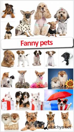 Fanny pets -  