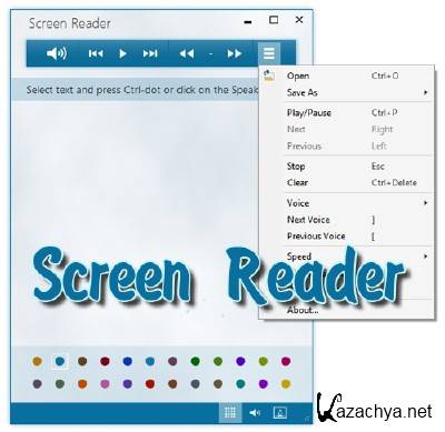 Screen Reader 2.1.6
