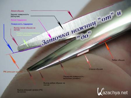 ������� ������ "��" � "��" (2015) 