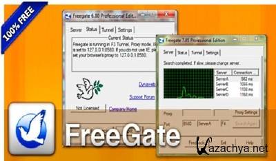FreeGate Professional 7.53 Portable