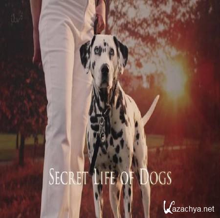    / Secret Life of Dogs (2013) HDTVRip 720p