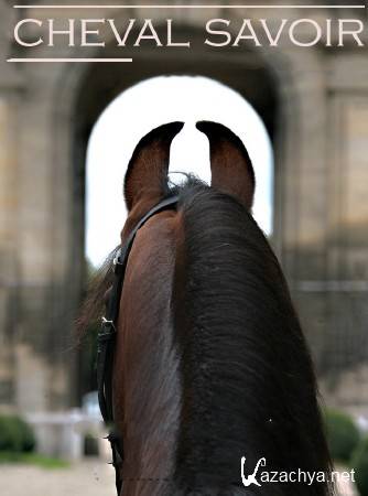 �������� ��������. ������ / Le chaval un etre intelligent (2012) TVRip