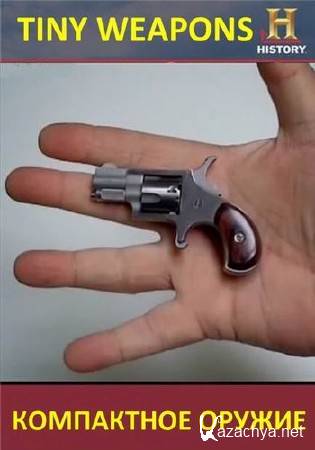 ���������� ������ / Tiny Weapons (2011) IPTVRip