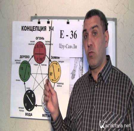 E36 - Цзу-Сан-Ли Точка скорой помощи (2015) E36 - Цзу-Сан-Ли Точка скорой помощи (2015)