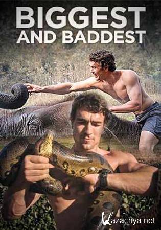 ������� � ��������. �������� ������� / Biggest and Baddest (2014) HDTVRip