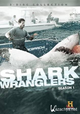 ������ �������. ����� ���� / Line of Fire (2012) DVB