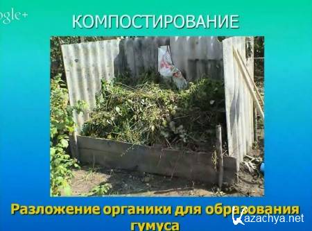 ������� ��� ��������? (2015)