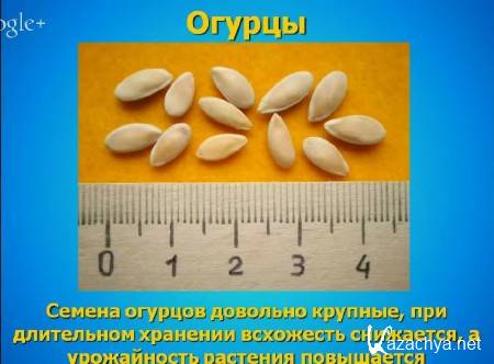 ��� �������� ����������� �������? (2015)