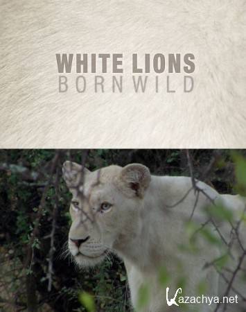    / White Lions - Born Wild (2012) HDTVRip 720p