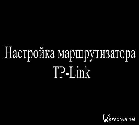   TP-Link (2015)