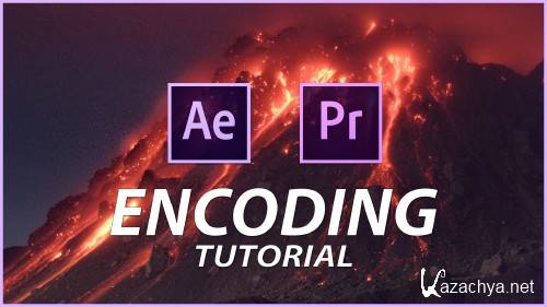     h.264,   After Effects  Premiere Pro.